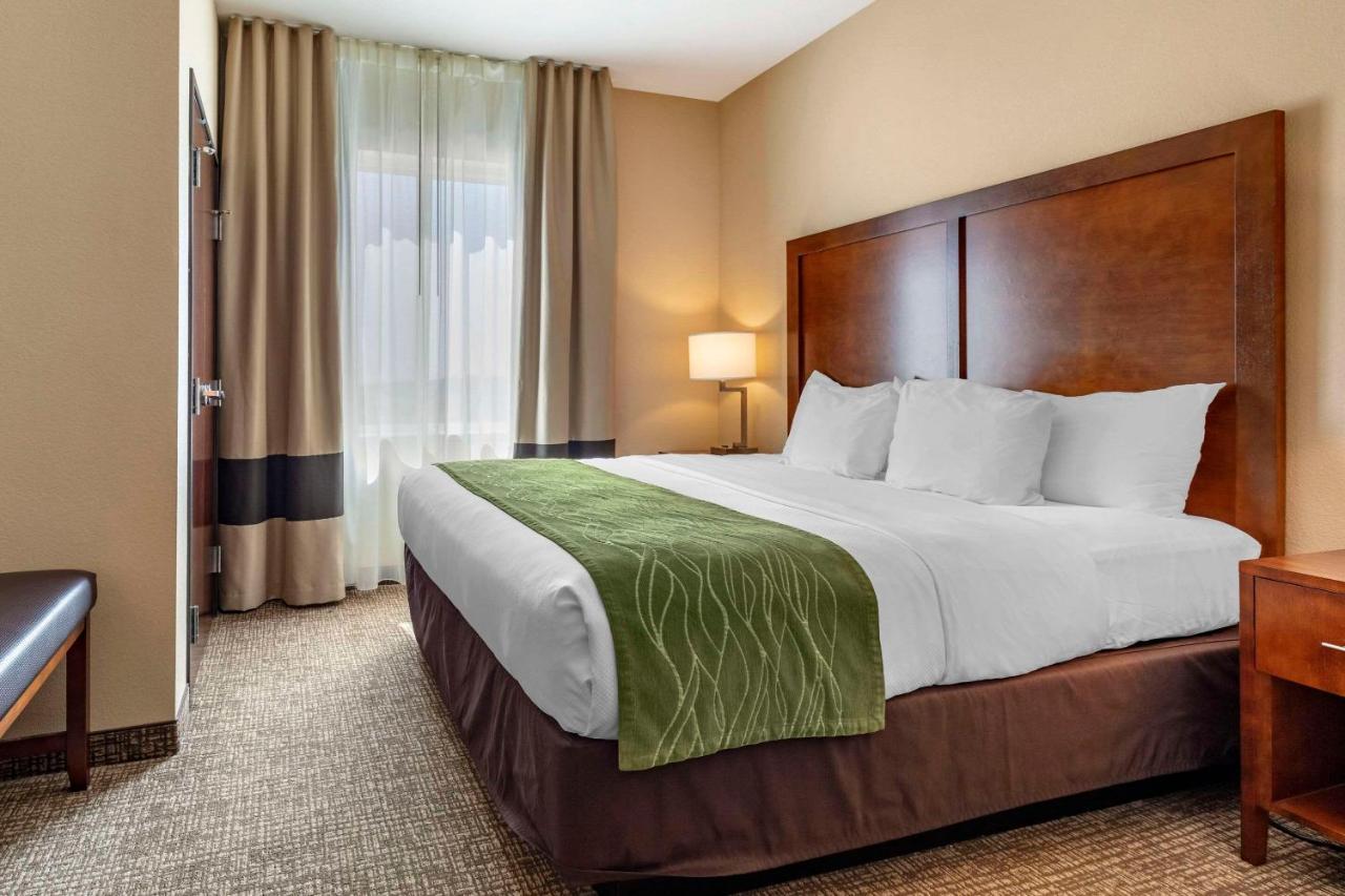Comfort Inn & Suites Edgewood Esterno foto