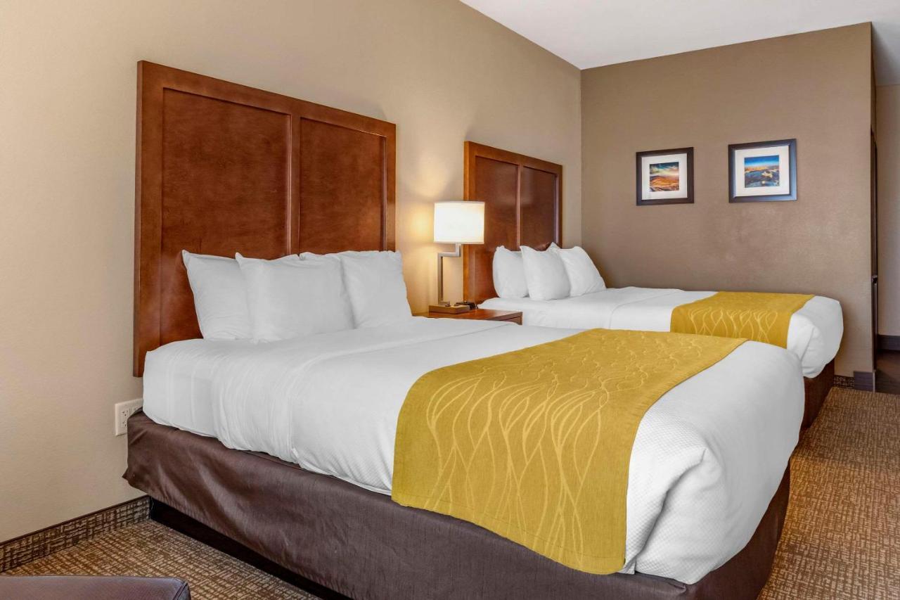 Comfort Inn & Suites Edgewood Esterno foto