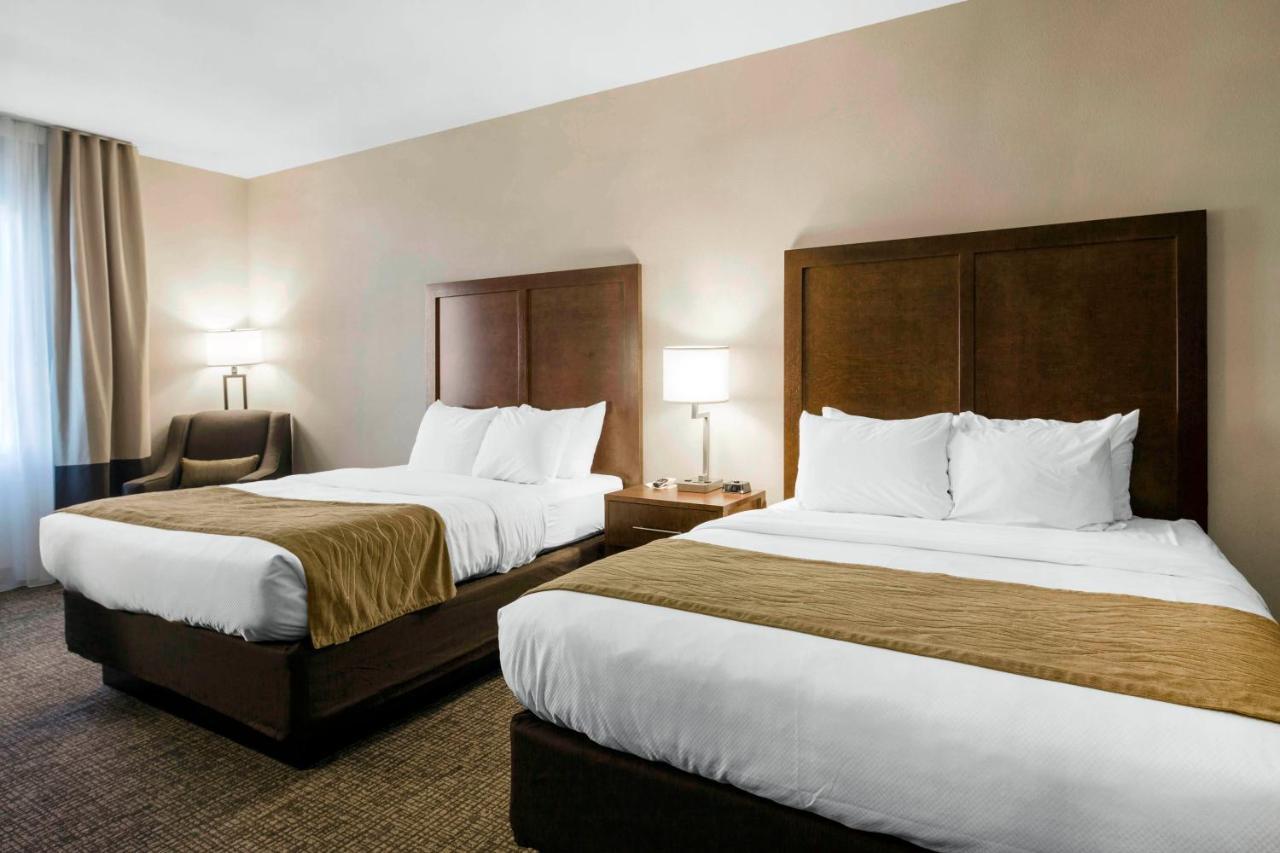Comfort Inn & Suites Edgewood Esterno foto